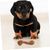 Pawzy Jouet à mâcher interactif pour chien