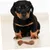 Pawzy Jouet à mâcher interactif pour chien