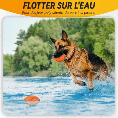 Pawzy Balle rugby ultra-résistante pour chien – Flottante et indestructible