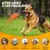 Pawzy Balle rugby ultra-résistante pour chien – Flottante et indestructible
