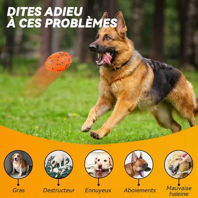 Pawzy Balle rugby ultra-résistante pour chien – Flottante et indestructible