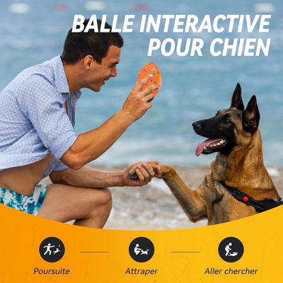 Pawzy Balle rugby ultra-résistante pour chien – Flottante et indestructible