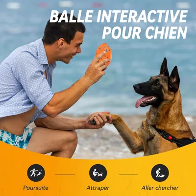 Pawzy Balle rugby ultra-résistante pour chien – Flottante et indestructible
