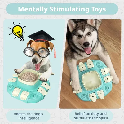 Pawzy Jouet puzzle stimulant pour chien