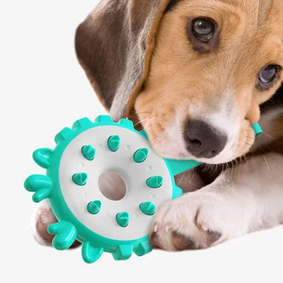 Pawzy Jouet à Mâcher Ultra-Résistant pour Chien