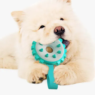 Pawzy Jouet à Mâcher Ultra-Résistant pour Chien