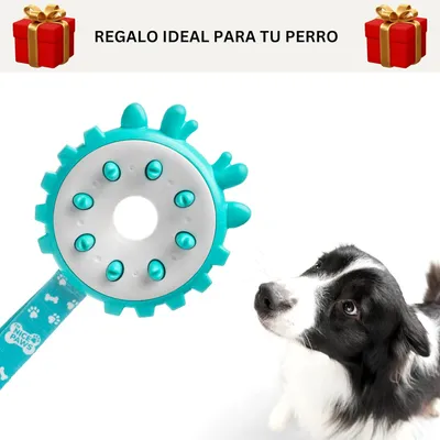 Pawzy Jouet à Mâcher Ultra-Résistant pour Chien