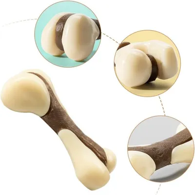 Pawzy Jouet à mâcher pour chiots : Forme d'os, dentition