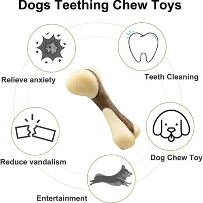Pawzy Jouet à mâcher pour chiots : Forme d'os, dentition