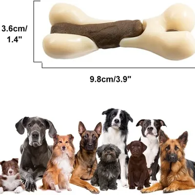Pawzy Jouet à mâcher pour chiots : Forme d'os, dentition