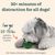 Pawzy 2 Jouets Interactifs pour Chien