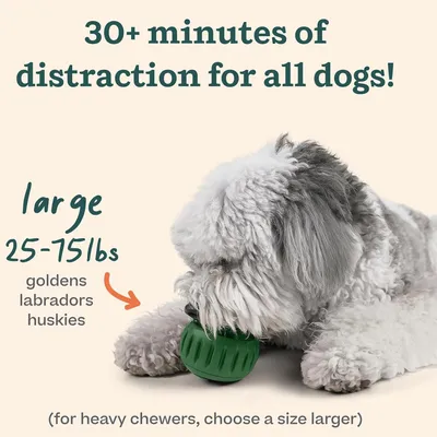 Pawzy 2 Jouets Interactifs pour Chien