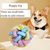 Pawzy Lot de 3 jouets colorés pour chien (Taille S/M/L)