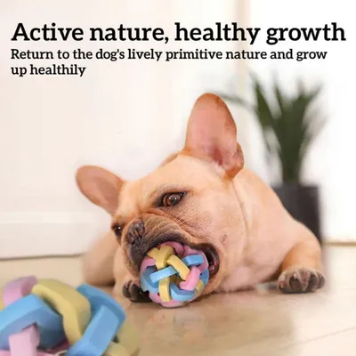 Pawzy Lot de 3 jouets colorés pour chien (Taille S/M/L)