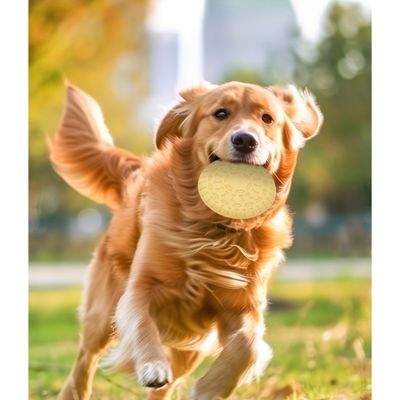 Pawzy Disque Volant pour Chien - Résistant, Portable (Jaune)