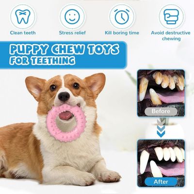 Pawzy Anneaux à mâcher en caoutchouc naturel pour chien