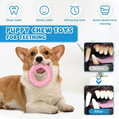 Pawzy Anneaux à mâcher en caoutchouc naturel pour chien