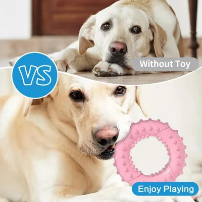 Pawzy Anneaux à mâcher en caoutchouc naturel pour chien