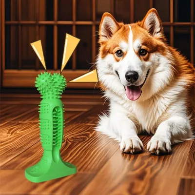 Pawzy Os dentaire en caoutchouc TPR pour chien - Indestructible