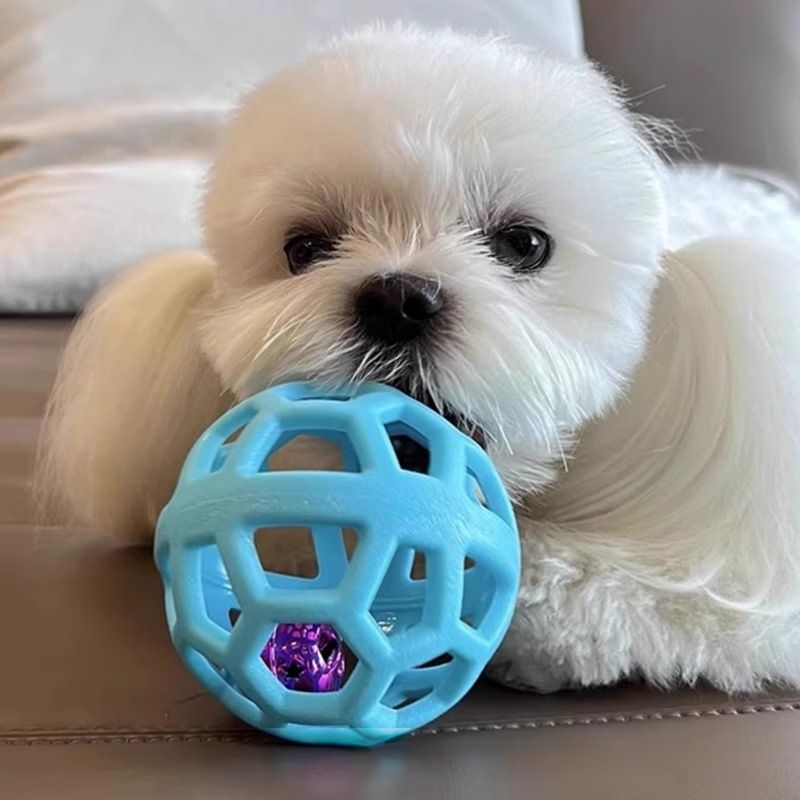 Pawzy Balle creuse TPR avec clochette pour chien/chat