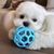 Pawzy Balle creuse TPR avec clochette pour chien/chat