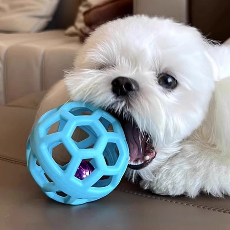 Pawzy Balle creuse TPR avec clochette pour chien/chat