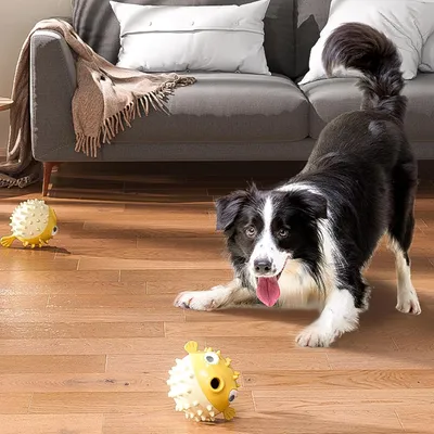 Pawzy Jouets chiens solides - Anti-destruction & interactifs