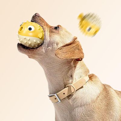 Pawzy Jouets chiens solides - Anti-destruction & interactifs