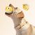 Pawzy Jouets chiens solides - Anti-destruction & interactifs