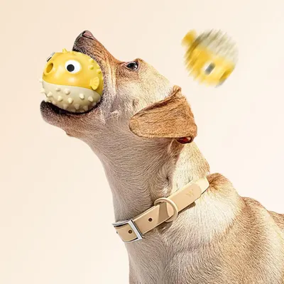 Pawzy Jouets chiens solides - Anti-destruction & interactifs
