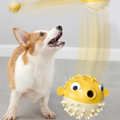 Pawzy Jouets chiens solides - Anti-destruction & interactifs