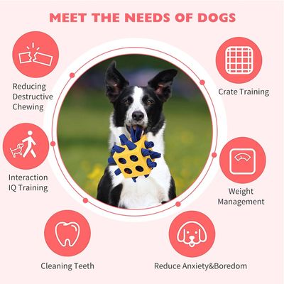 Pawzy Balle à renifler interactive pour chien