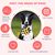 Pawzy Balle à renifler interactive pour chien