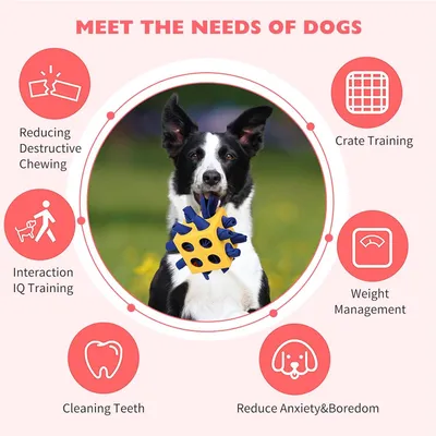 Pawzy Balle à renifler interactive pour chien