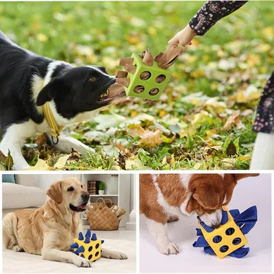 Pawzy Balle à renifler interactive pour chien