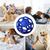 Pawzy Balle creuse interactive pour chien