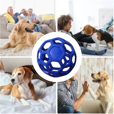 Pawzy Balle creuse interactive pour chien