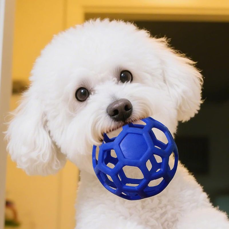Pawzy Balle creuse interactive pour chien