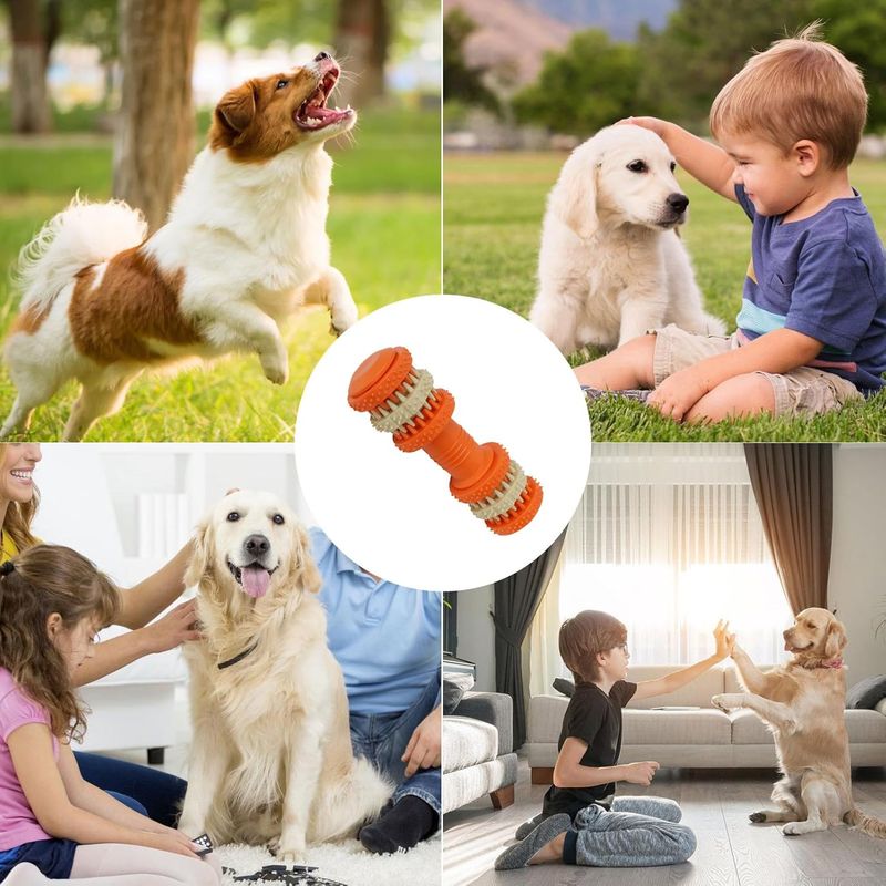Pawzy Balle couineuse indestructible pour chien