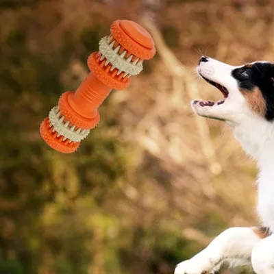 Pawzy Balle couineuse indestructible pour chien