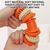 Pawzy Balle couineuse indestructible pour chien