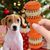 Pawzy Balle couineuse indestructible pour chien