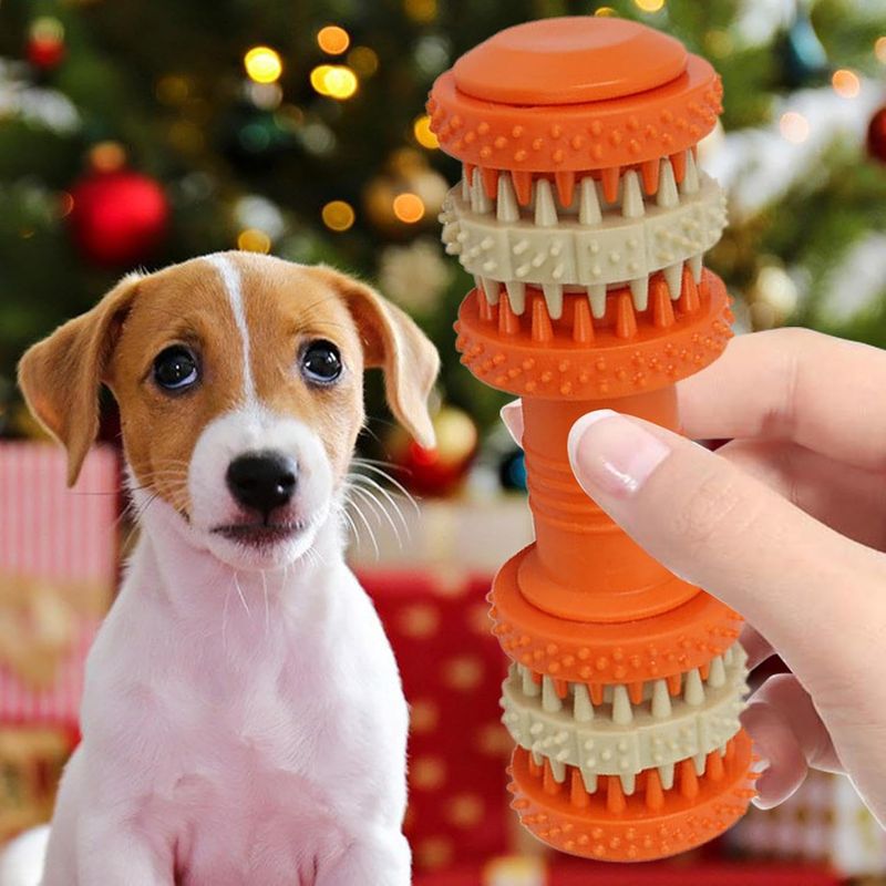 Pawzy Balle couineuse indestructible pour chien