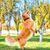 Pawzy Jouet à mâcher dentaire pour chien - Balle & corde