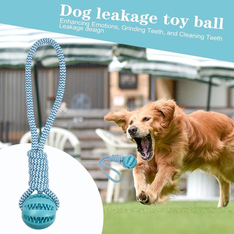 Pawzy Jouet à mâcher dentaire pour chien - Balle & corde