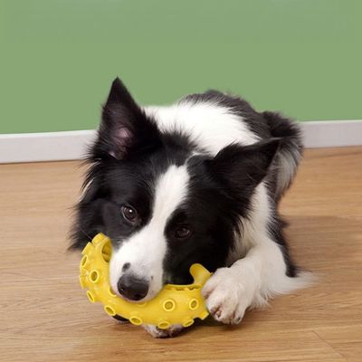 Pawzy Füllbares Tintenfisch-Kauspielzeug für Hunde (Gelb)