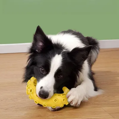 Pawzy Füllbares Tintenfisch-Kauspielzeug für Hunde (Gelb)