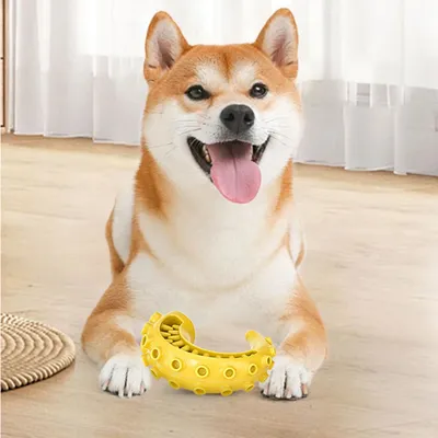 Pawzy Füllbares Tintenfisch-Kauspielzeug für Hunde (Gelb)