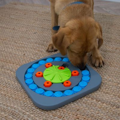 Pawzy Jeu Intelligent Chien – Roue à Friandises Stimulante