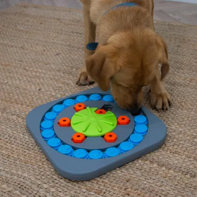 Pawzy Jeu Intelligent Chien – Roue à Friandises Stimulante